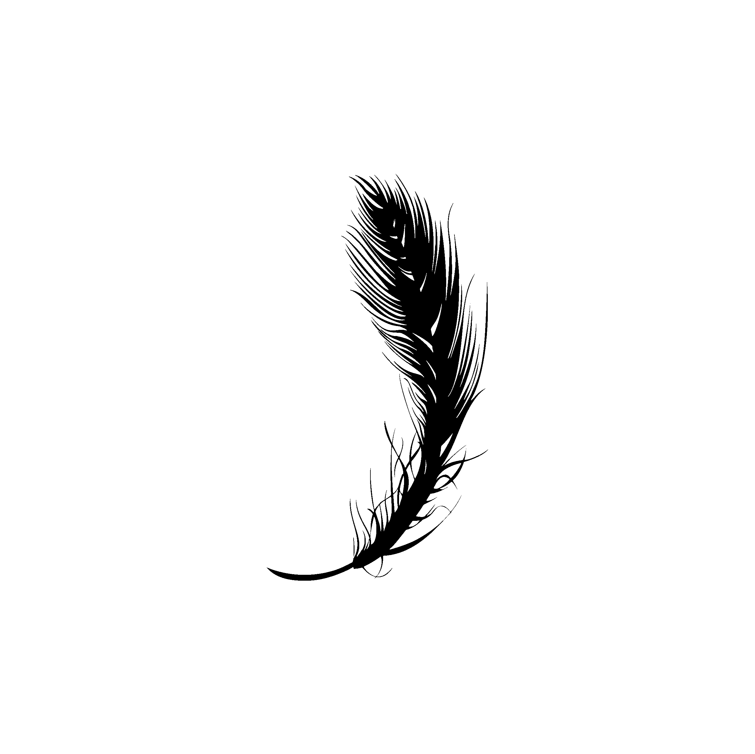 Feather Free SVG File
