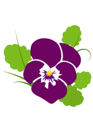 Pansy Flower Bloom - free svg file for members