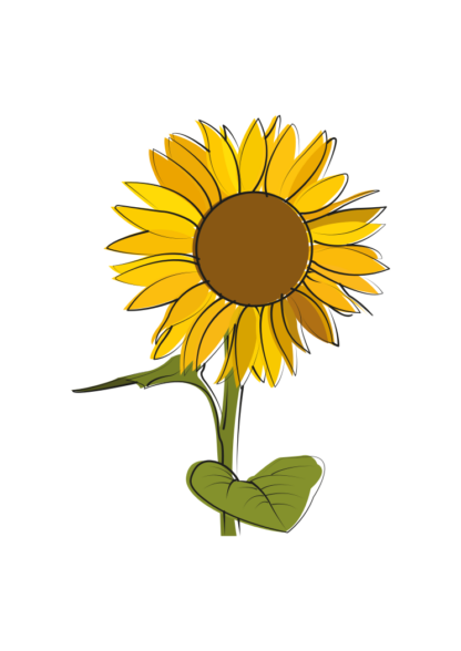 Sunflower Free SVG File