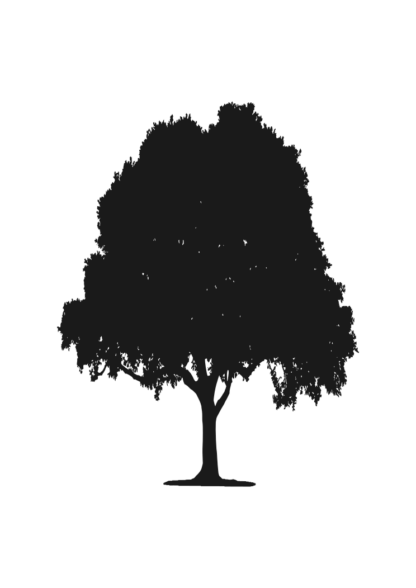 Tree Silhouette Free SVG File