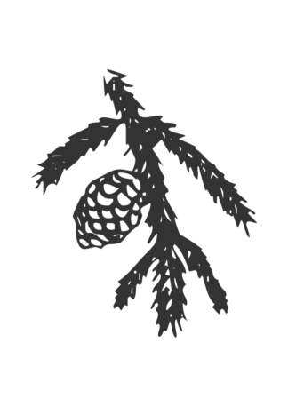 Spruce Twig With Cone Free SVG File