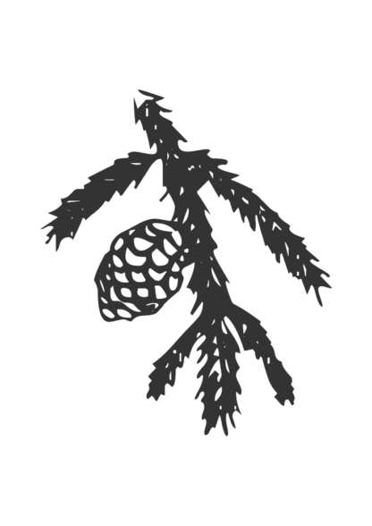 Spruce Twig With Cone Free SVG File