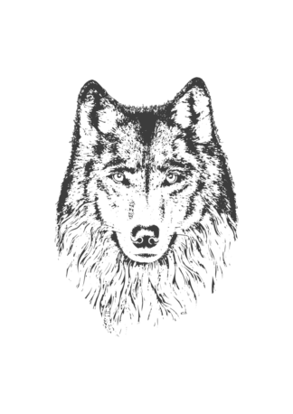 Wolf Head Art Free SVG File