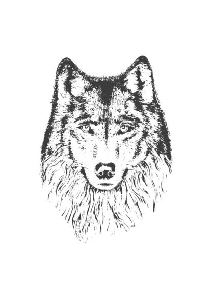 Wolf Head Art Free SVG File