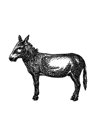 Donkey Hand Drawn Free SVG File