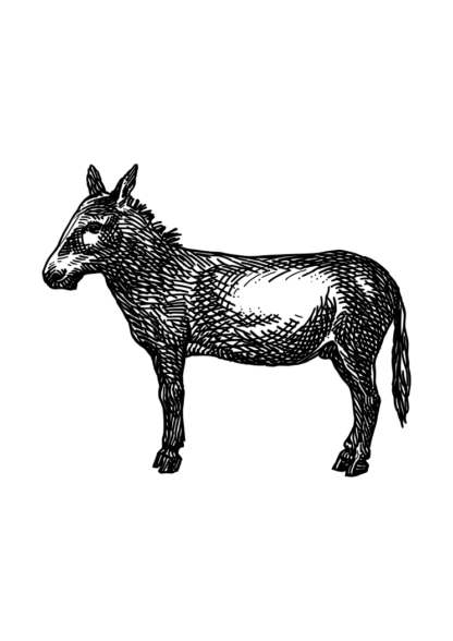 Donkey Hand Drawn Free SVG File