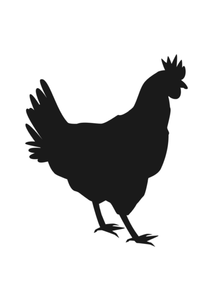 Hen Black and White Silhouette Free SVG File