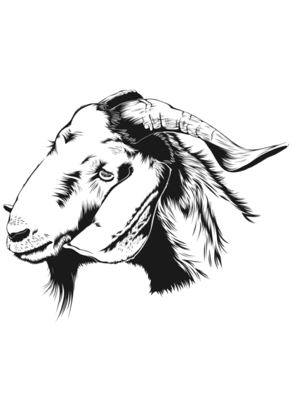 Goat Head Black and White Clipart Free SVG File