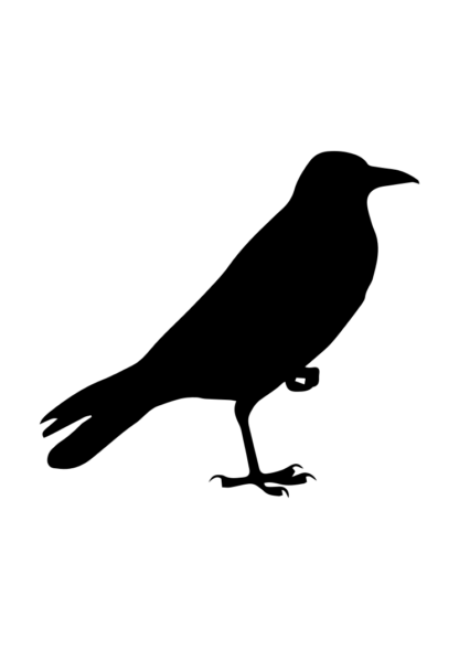 Black Crow Silhouette Free SVG File