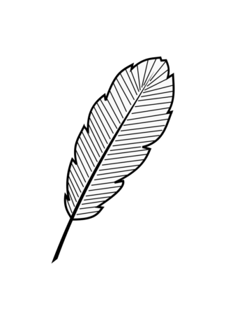 Feather Outline Black and White Clipart Free SVG File