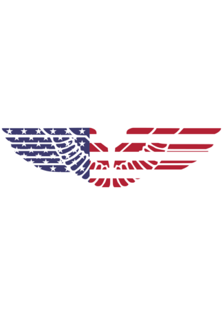 America Eagle Symbol Flag  Clipart Free SVG File