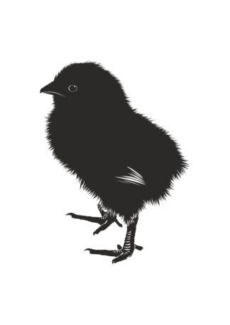Little Chick Black and White Clipart Free SVG File