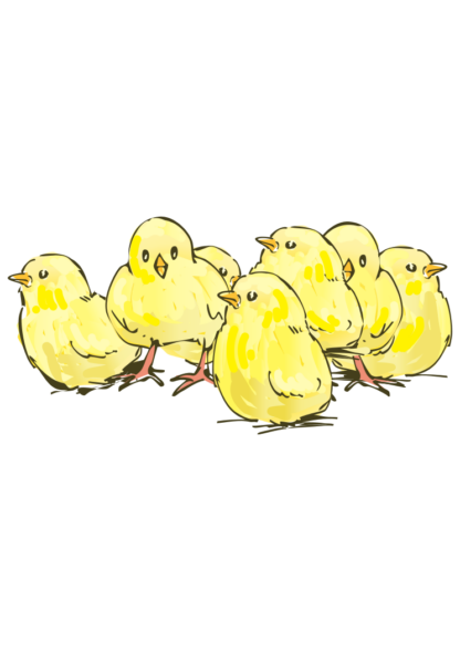 Chicks Clipart Free SVG File
