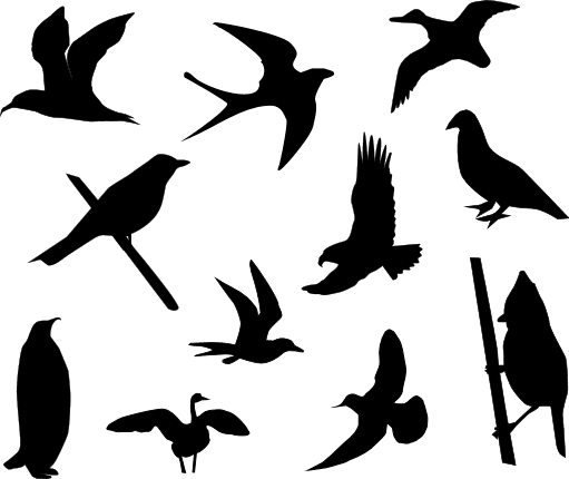 birds-silhouette-bundle-penguin-crow-free-svg-file-SvgHeart.Com