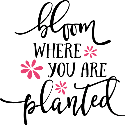 bloom-where-you-are-planted-inspirational-free-svg-file-SvgHeart.Com