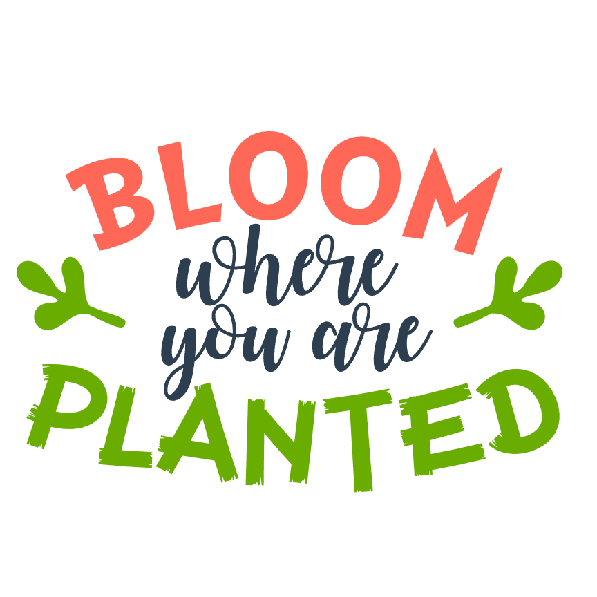 bloom-where-you-are-planted-spring-free-svg-file-SvgHeart.Com