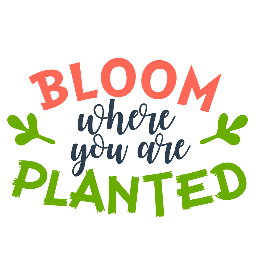 Bloom Where You Are Planted, Spring Free Svg File - SVG Heart