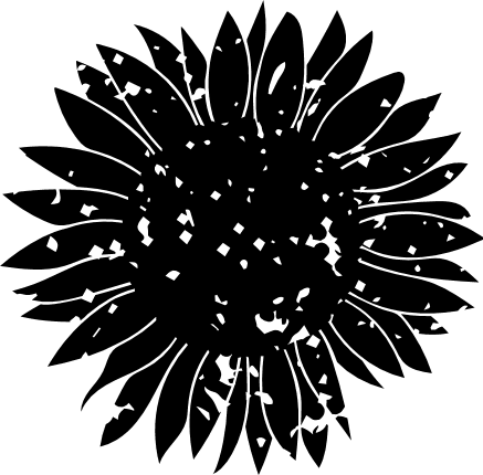 distressed-black-sunflower-decoration-free-svg-file-SvgHeart.Com