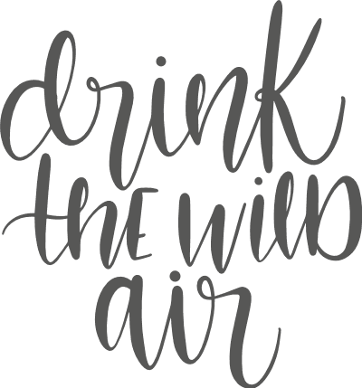 drink-the-wild-air-summer-beach-free-svg-file-SvgHeart.Com