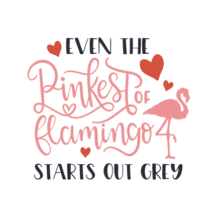 even-the-pinkest-of-flamingo-starts-out-grey-motivational-free-svg-file-SvgHeart.Com