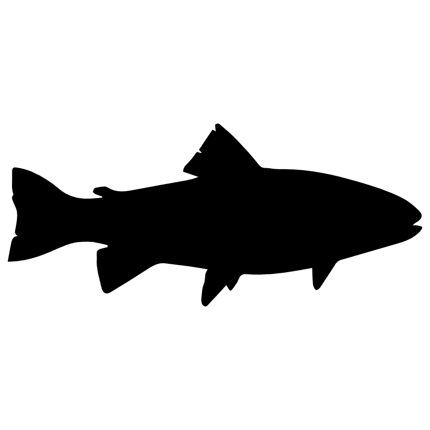 fish-silhouette-one-color-fishing-free-svg-file-SvgHeart.Com