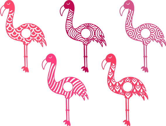 flamingo-monogram-frame-bundle-summer-free-svg-file-SvgHeart.Com