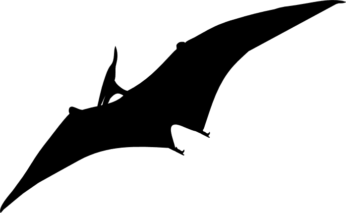 flying-dinosaur-silhouette-dino-free-svg-file-SvgHeart.Com