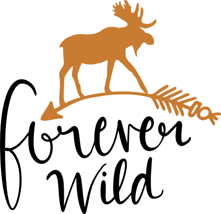 forever-wild-elk-arrow-hunting-free-svg-file-SvgHeart.Com