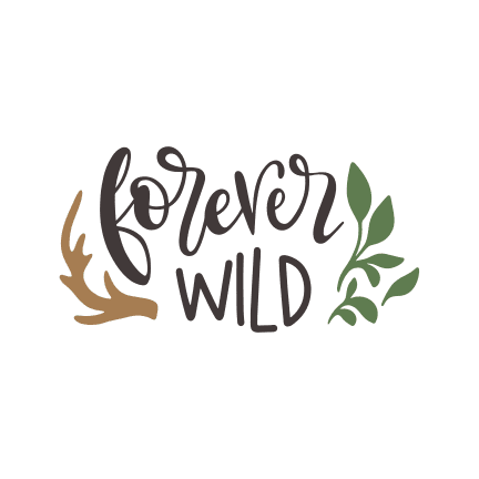 forever-wild-leaf-free-svg-file-SvgHeart.Com