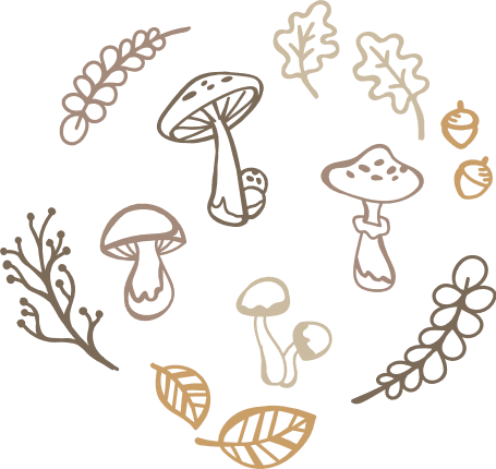mushrooms-toadstool-leaves-acorns-nature-elements-bundle-free-svg-file-SvgHeart.Com