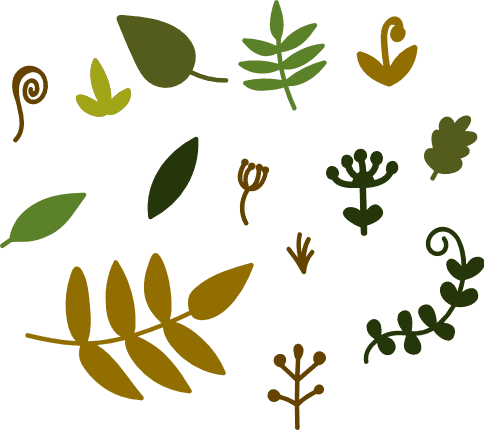 natural-elements-greenery-free-svg-file-SvgHeart.Com