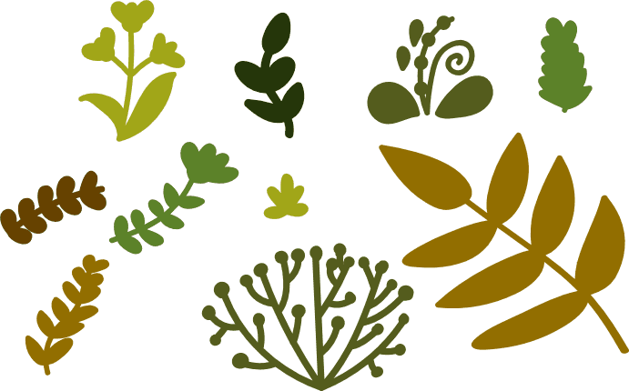 natural-elements-leaves-greenery-free-svg-file-SvgHeart.Com