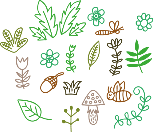 nature-elements-bundle-flower-leaves-free-svg-file-SvgHeart.Com
