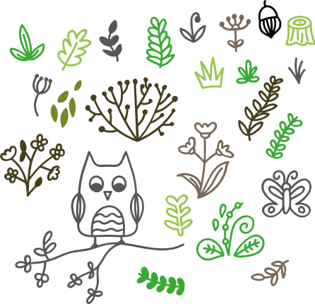 nature-elements-bundle-owl-leaves-butterfly-free-svg-file-SvgHeart.Com