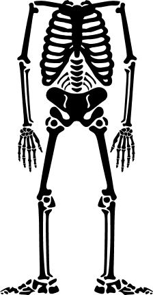 skeleton-without-head-halloween-free-svg-file-SvgHeart.Com