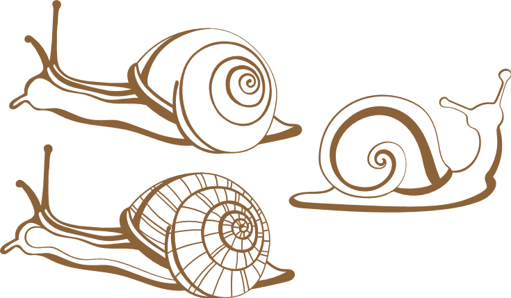 snails-bundle-free-svg-file-SvgHeart.Com