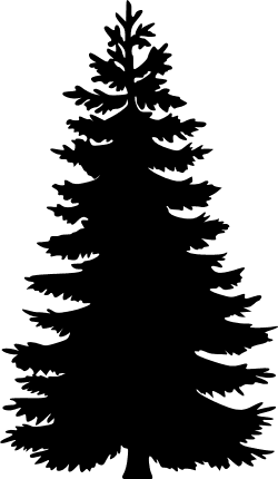 spruce-tree-silhouette-nature-free-svg-file-SvgHeart.Com
