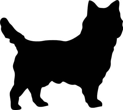 standing-cat-silhouette-pet-free-svg-file-SvgHeart.Com