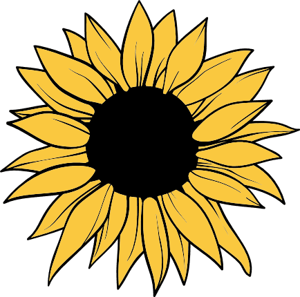 sunflower-bloom-flower-free-svg-file-SvgHeart.Com