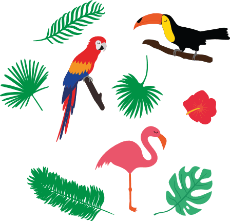 tropical-birds-and-leaves-bundle-toucan-flamingo-parrot-free-svg-file-SvgHeart.Com