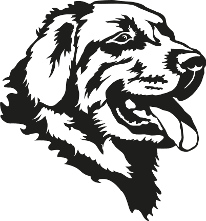 newfoundland-dog-head-dog-lover-free-svg-file-SVGHEART.COM