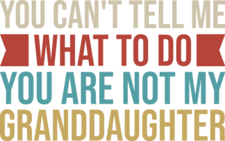 you cant tell me what to do you are not my granddaughter - free svg file for members