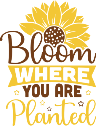 Bloom where you are planted, gardening positive quotes - free svg file for members
