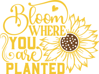 Bloom where you are planted, sunflower outline - free svg file for members