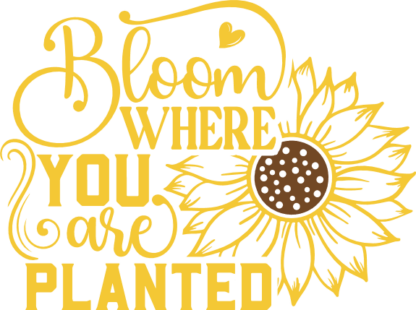 Bloom where you are planted, sunflower outline - free svg file for members