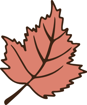Autumn Maple Leaf PNG Picture, Line Art Of Autumn Maple Leaf, Leaf Drawing,  Leaf Sketch, Autumn PNG Image For Free Download