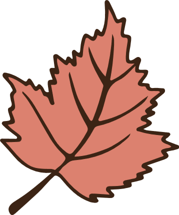 Maple Leaf PNG & SVG Design For T-Shirts