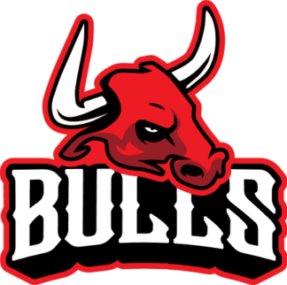 Chicago Bulls, Basketball NBA team players tshirt design, bull head - free svg file for members