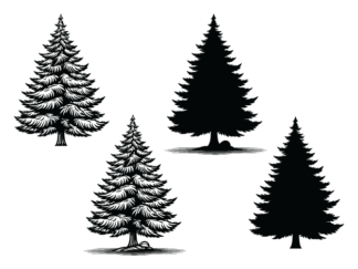 Snowy spruce trees for winter, svg bundle, decorative trees - free svg file for members