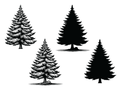 Snowy spruce trees for winter, svg bundle, decorative trees - free svg file for members